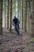 dsc02988_small.jpg