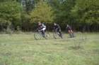 dsc03004_small.jpg