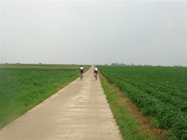 wout475.jpg